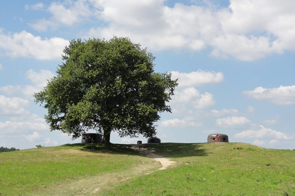 1280px Pniewo, Międzyrzecz Fortification Region, Panzerwerk 717 panoramio