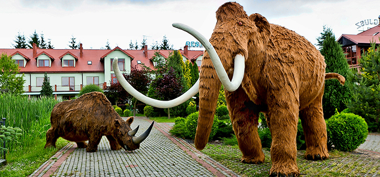 delipark9