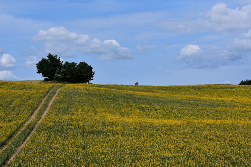 Kaszuby w jeden dzień