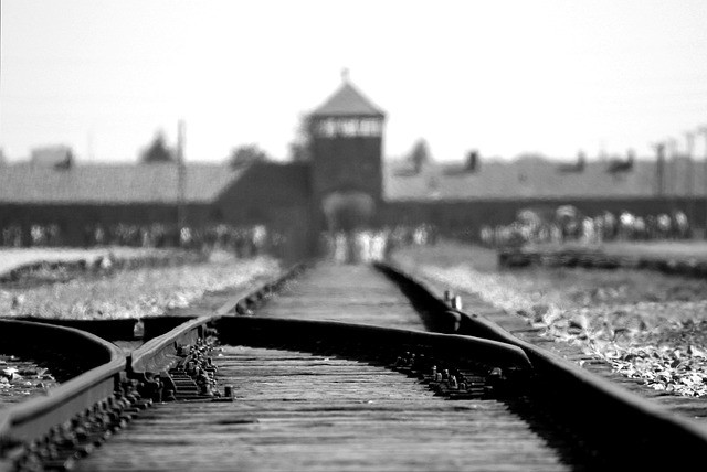 ronporter birkenau 402324 640