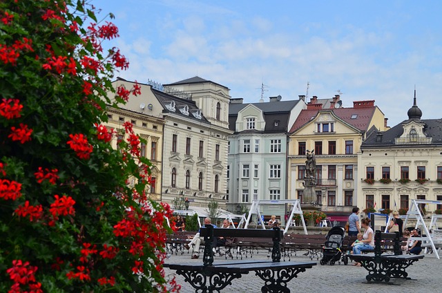 thesoarnet cieszyn poland 2746852 640