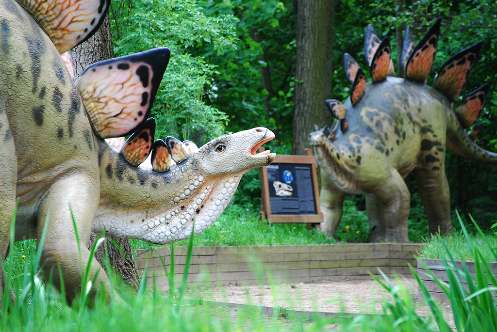 Park Rozrywki „Zaurolandia”
